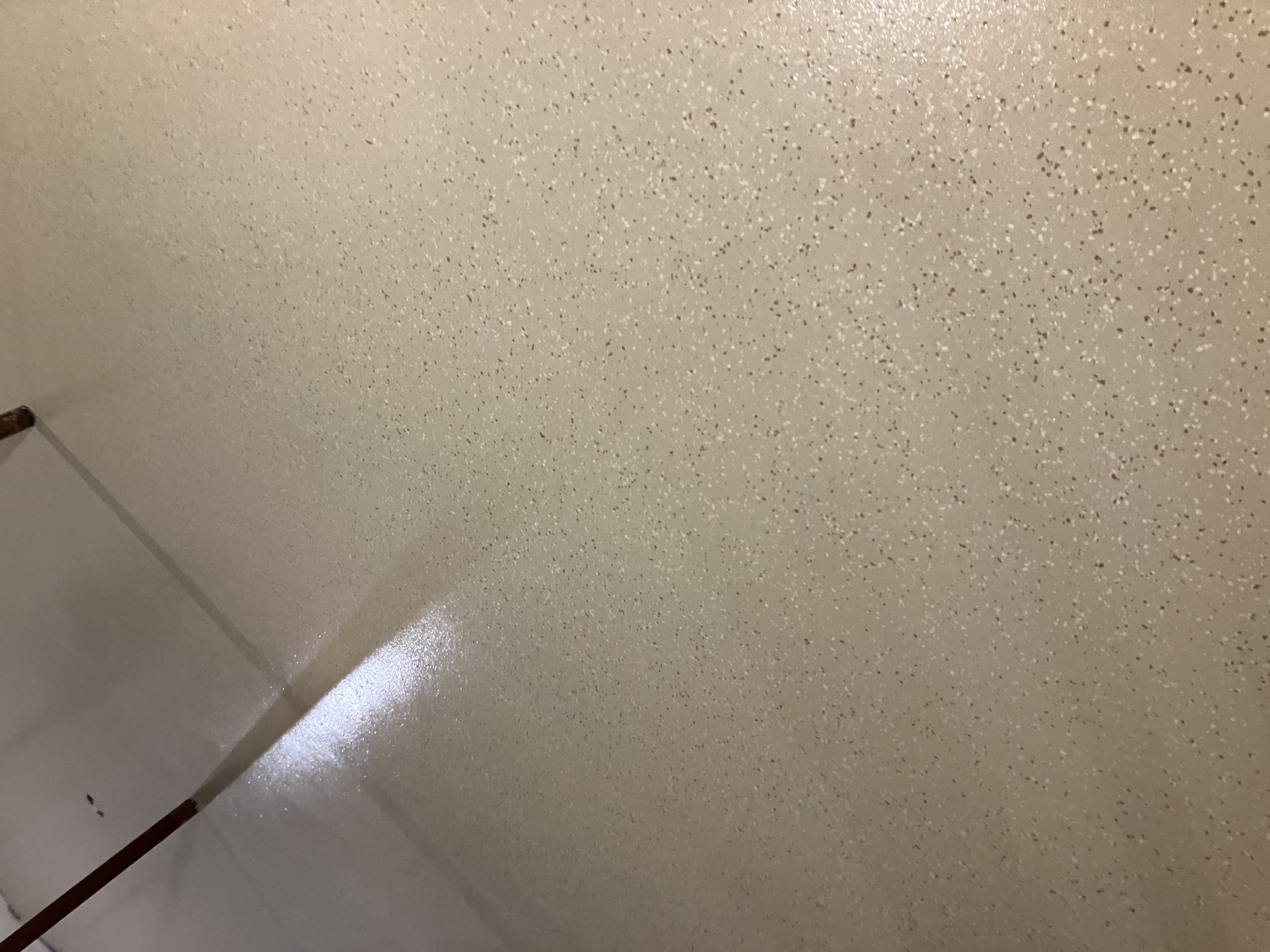 Basement Cream Flake Epoxy Close-Up